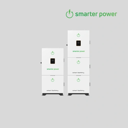 Intelligent Home Energy Management