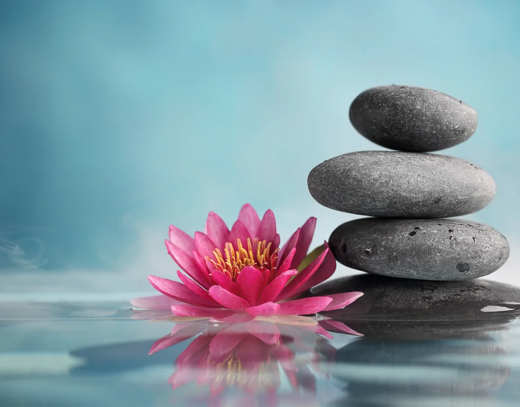 Holistic wellness treatments at Parm's Wellness Spa in Brampton