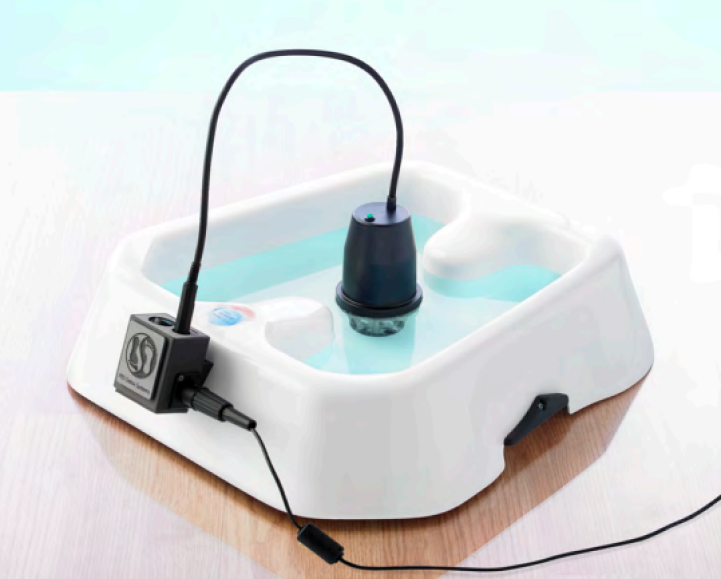 Ionic cleanse foot bath session at Parm's Wellness Spa
