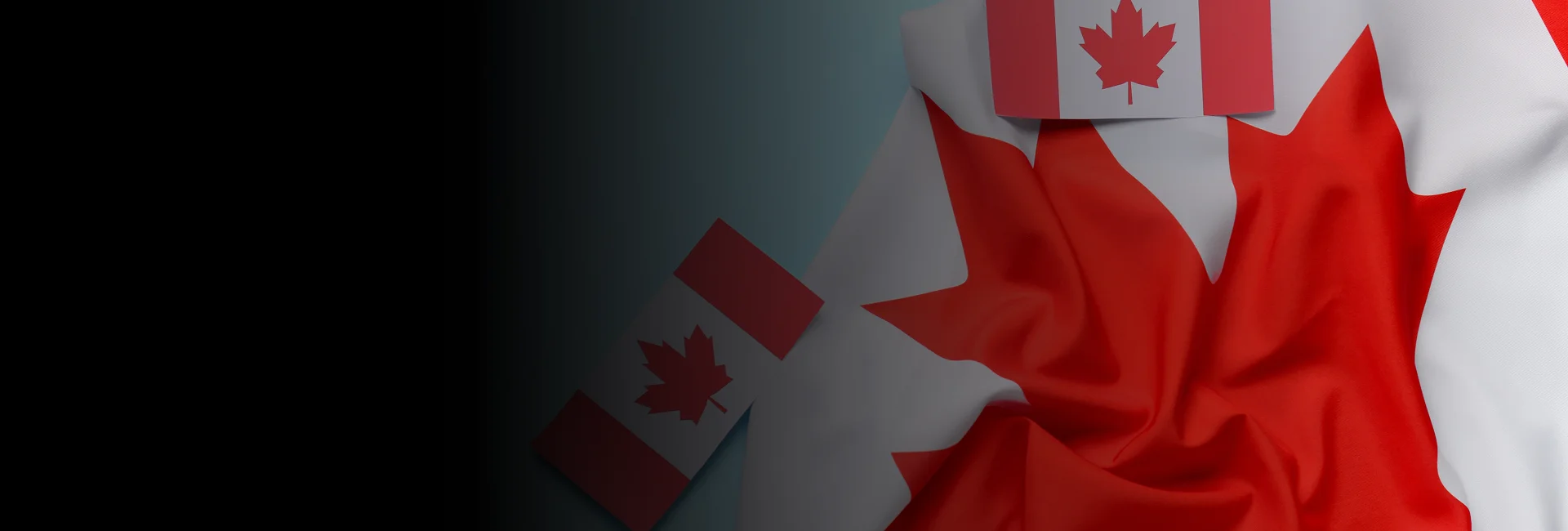 Immigration services consultation taking place in the Winnipeg office