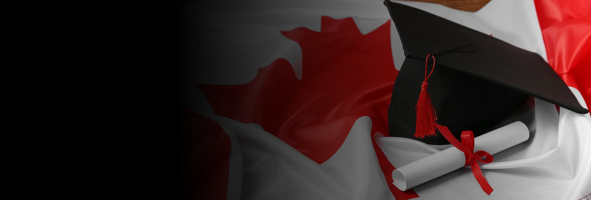 Team at a Canadian immigration firm in Winnipeg assisting clients