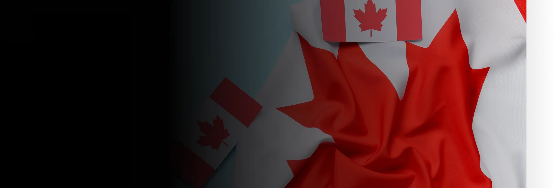Immigration consultant for Canada reviewing client applications