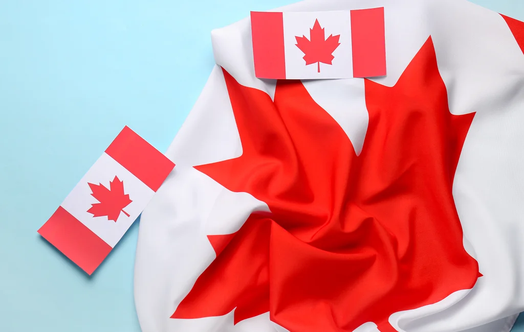 Immigration consultant for Canada reviewing client applications