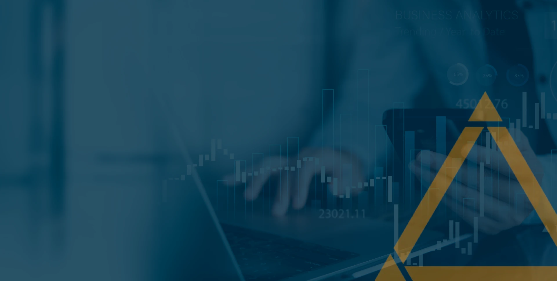 Navigating Financial Regulation with Expertise
