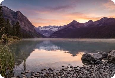 Addiction Recovery Coaching