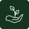 Grow