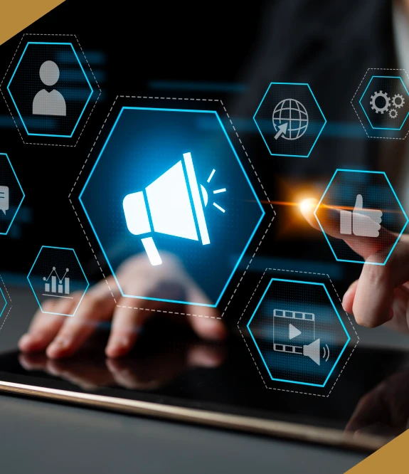 Digital Platform Campaigns