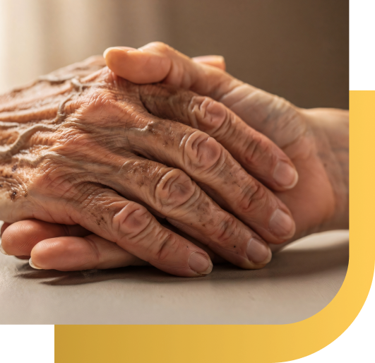 Senior respite care in Kentwood