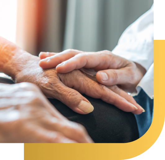 In-home senior caregivers in Holland