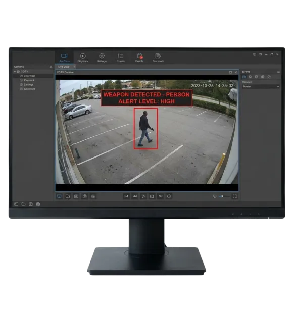 Intelligent Video Analysis Systems