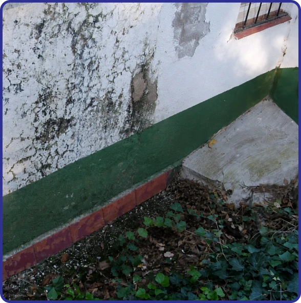Tree damage repair in Seattle, WA, restoring exterior walls.
