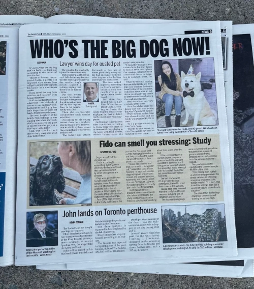 Media Mentions