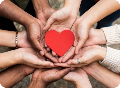 Charity & NPO Tax