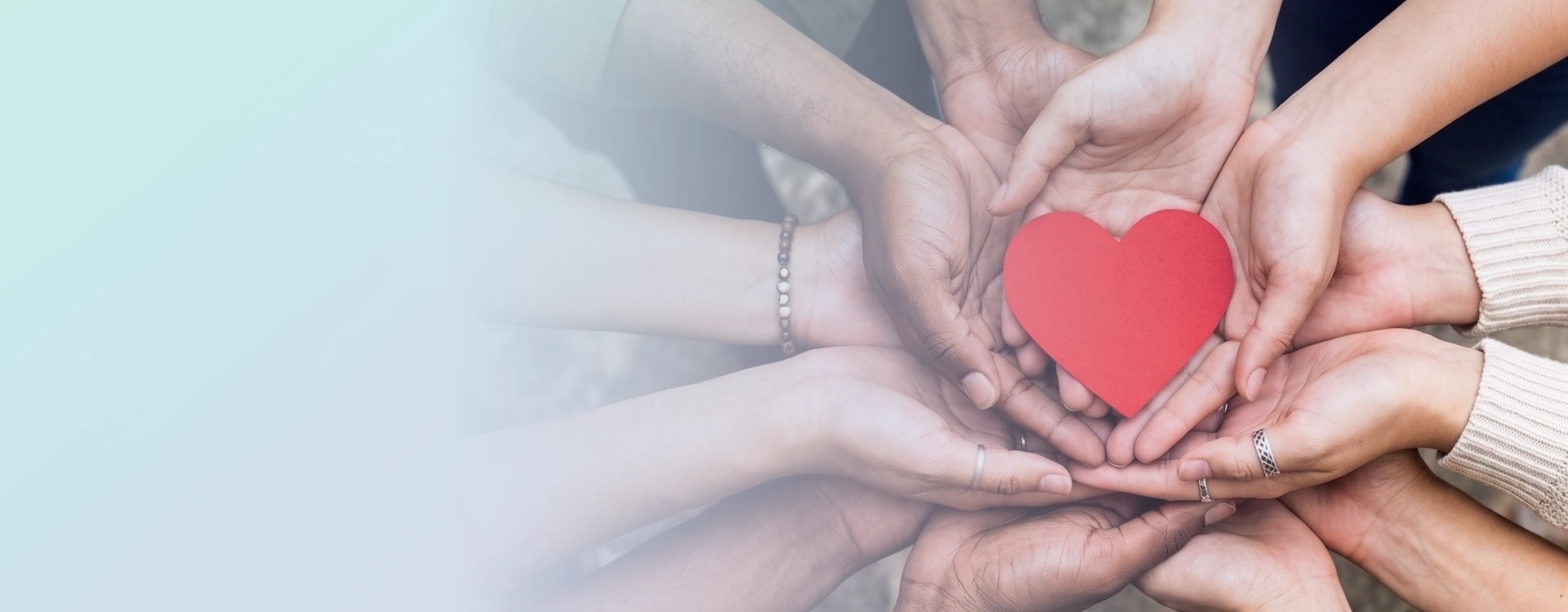 Charity & NPO Tax