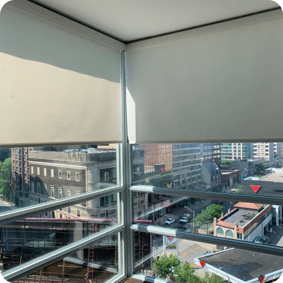 Custom Roller Shades
