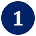 Accessible Civic Information