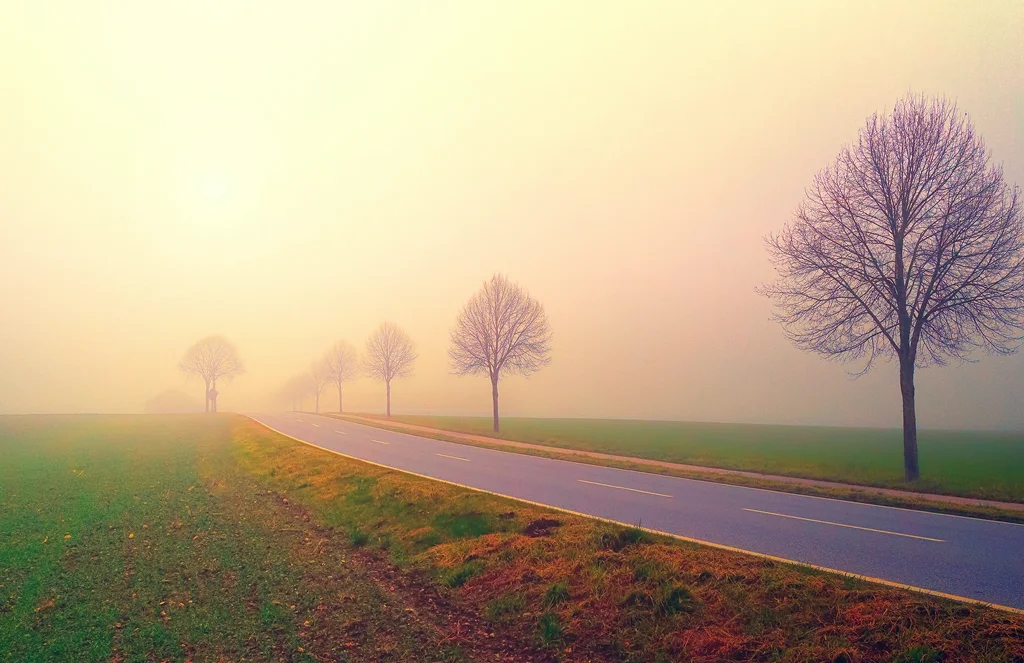Therapy services in Toronto supporting a client with emotional concerns