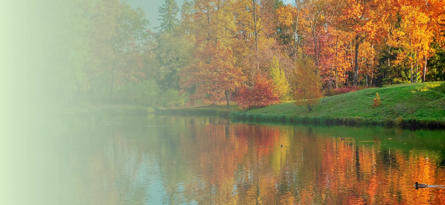 Client accessing online psychotherapy services in Toronto through video
