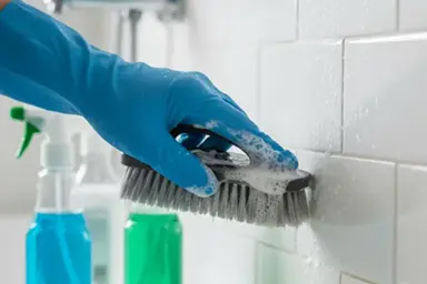 Deep Cleaning Services