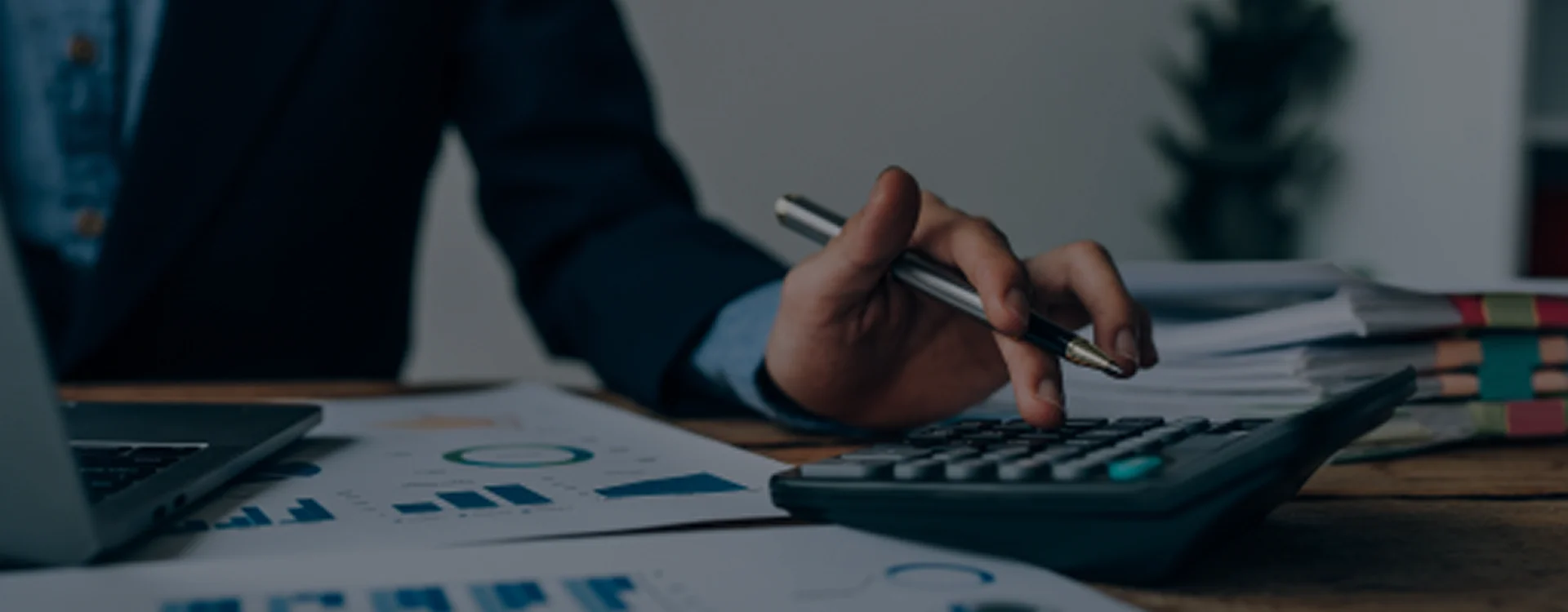 Bookkeeper reviewing reports for bookkeeping solutions for organization