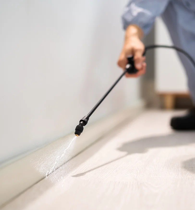 Technician treating a baseboard, pet nearby