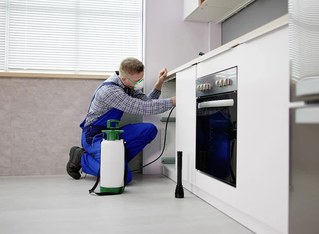 Residential pest extermination treatment