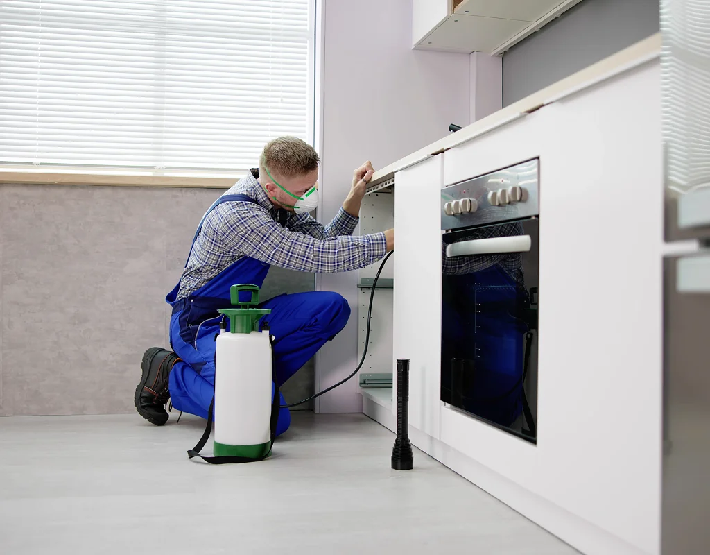 Technician performing residential pest extermination