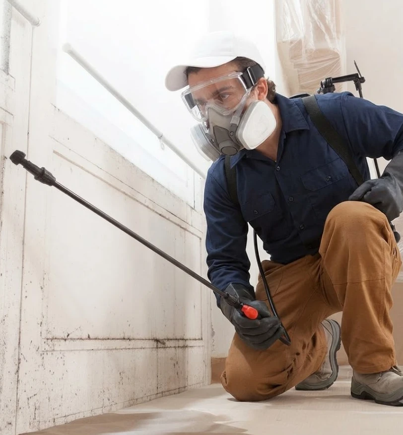 Technician treating an active infestation at the source