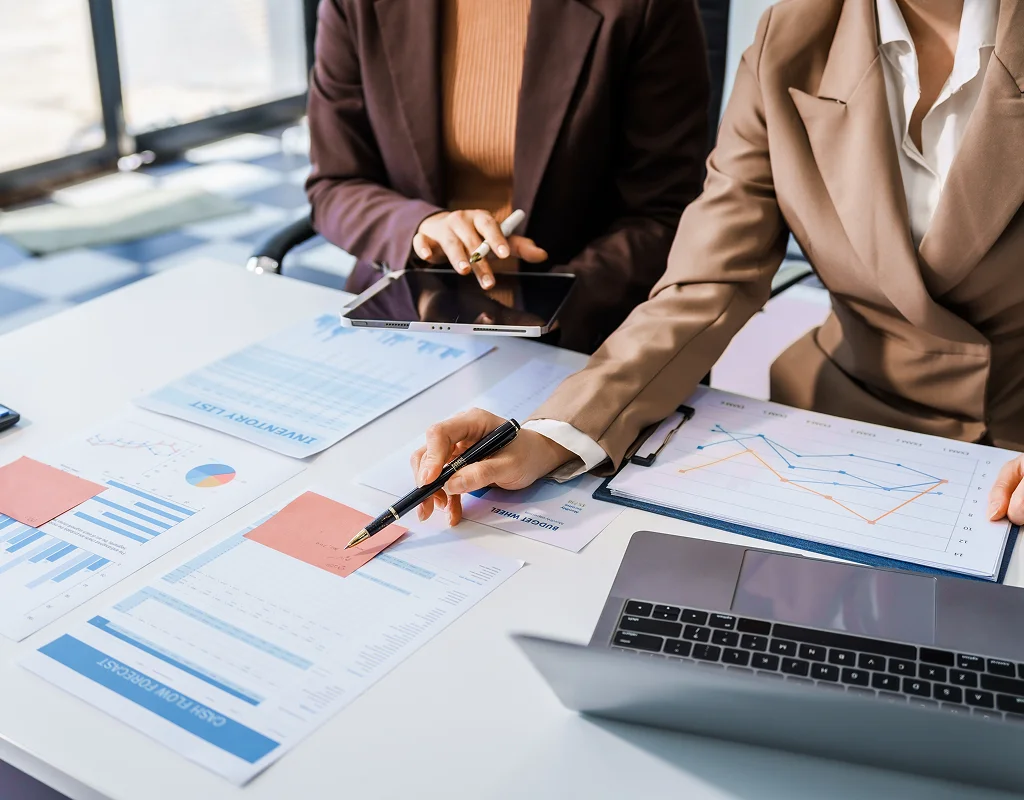 Business advisory professional reviewing company performance