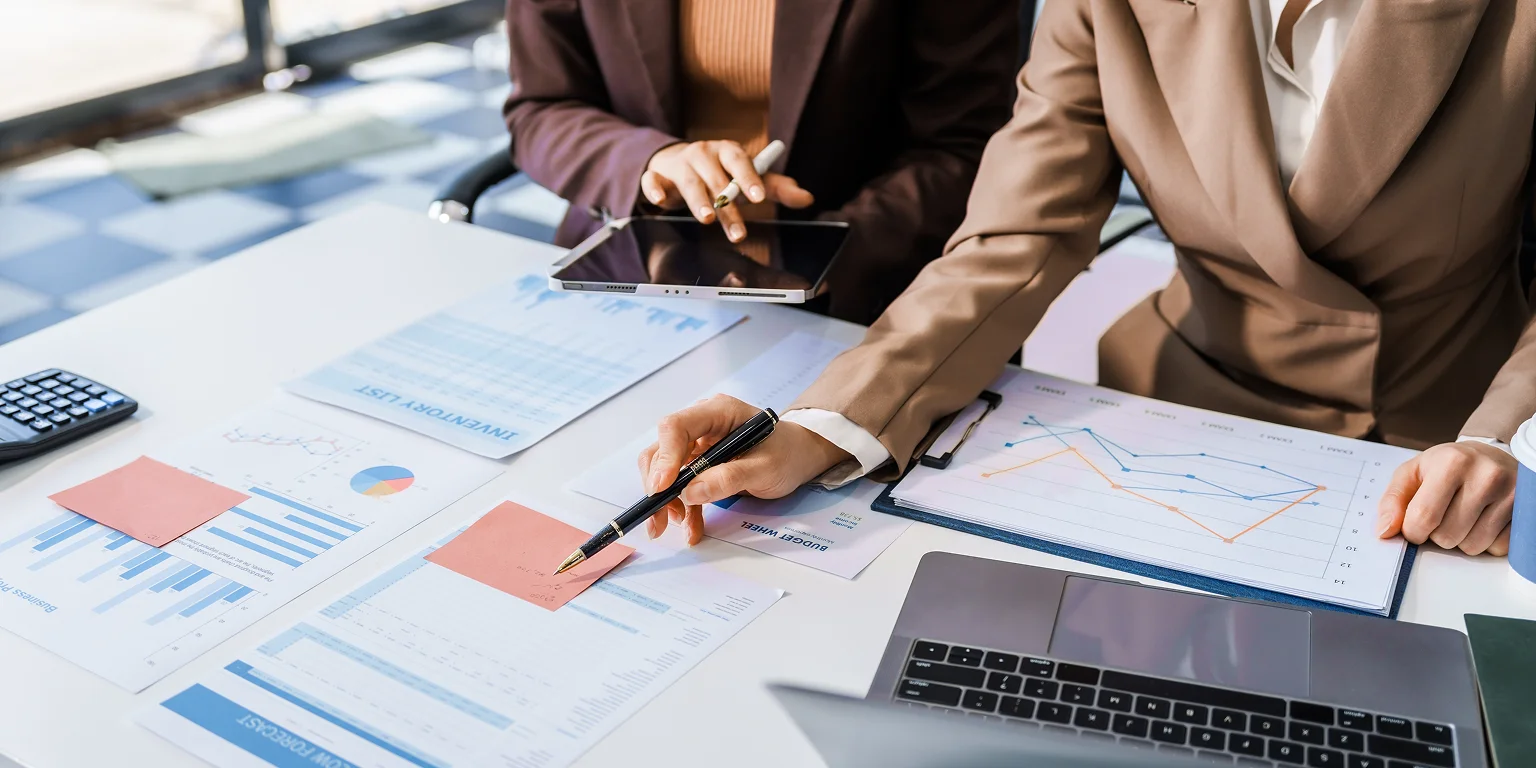 Business advisory professional reviewing company performance